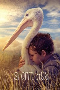 Storm Boy (2019)