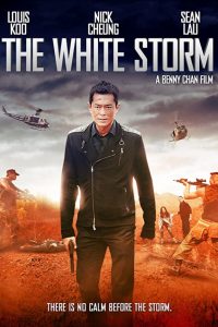 The White Storm (2013)