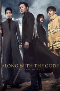 Along with the Gods: The Two Worlds (2017)