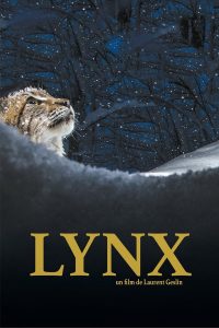 Lynx