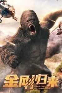 KingKong is Coming Back